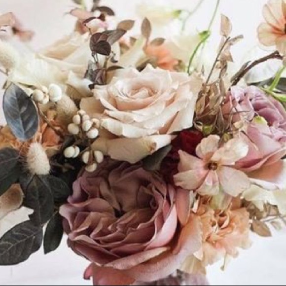 Meet your Posher, Alina - Picture 1 of 1